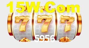Premium Interface 5956